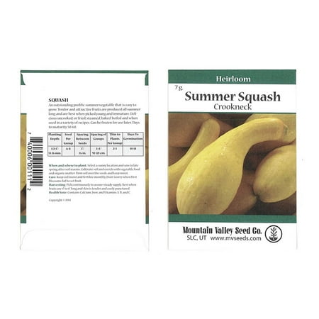 Sunburst Squash Seed - Crookneck Summer Squash Garden Seeds - 7 Gram Packet - Heirloom, Non-GMO - Vegetable Gardening Seed