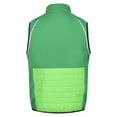 thumbnail image 5 of Regatta - Chaqueta Softshell Steren Hybrid para Hombre (Campo Verde, Verde Jasmín), 5 of 5