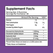 Glucosamine Chondroitin Gummies with MSM & Elderberry – Joint Support & Mobility Complex, 60 Count