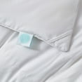 thumbnail image 4 of Martha Stewart  Tencel Hungarian White Goose Down Comforter Twin, 4 of 4