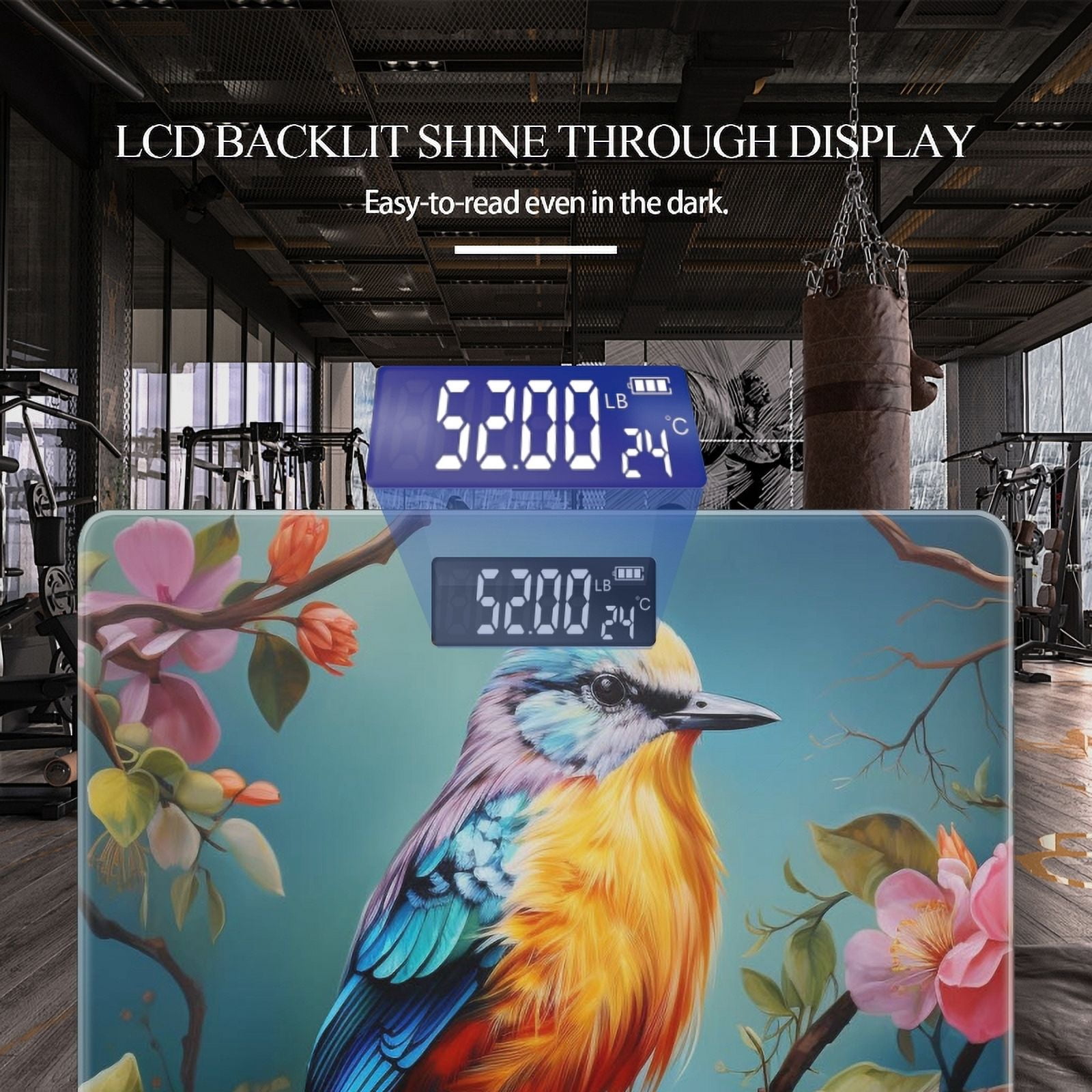 High Precision Body Weight Scale Smart Bathroom Scales with Large LCD Display(400lbs),Decorative for Bedroom-Colorful Bird Sitting On Branch With Flowers