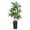 Black, variant on 5Ft Tall Artificial Plants Indoor, Realistic Potted Artificial Dracaena, Tropical Floor Plant, Versatile Artificial Tree Indoor & Outdoor Decoration