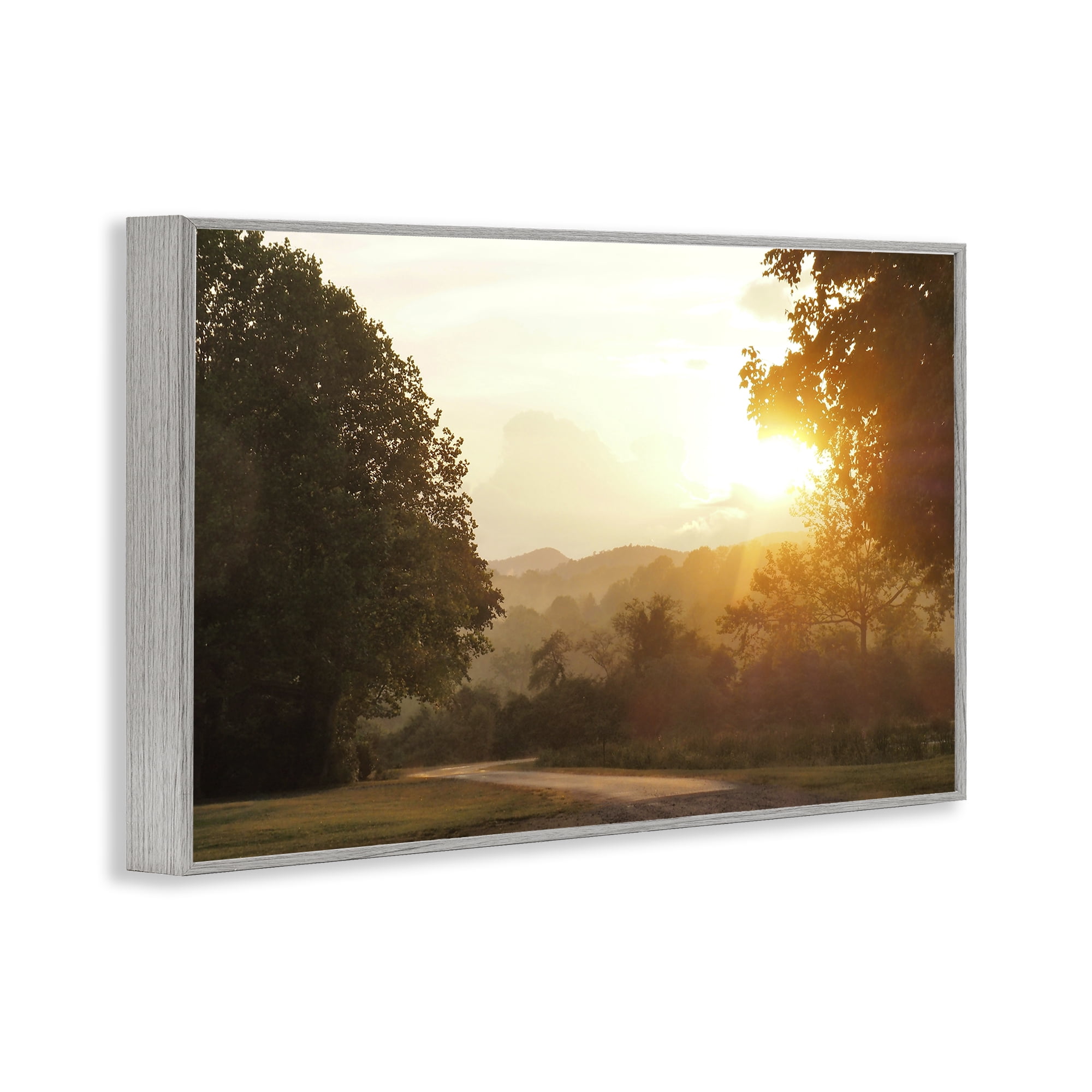 Stupell Industries Golden Morning Between Trees Gray Framed Giclee Art, design by Gail Peck