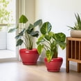 thumbnail image 5 of Red Ceramic Plant Pots Set of 3 – 6, 8, 10 Inch Round Flower Pots with Drainage for Indoor Outdoor Plants, Large Planters, 5 of 8