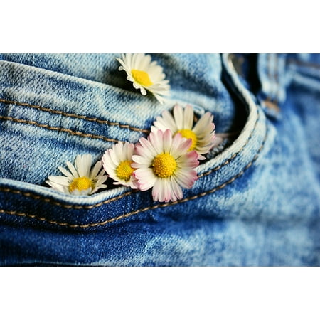 LAMINATED POSTER Textile Denim Flowers Jeans Daisy Greeting Pocket Poster Print 24 x 36