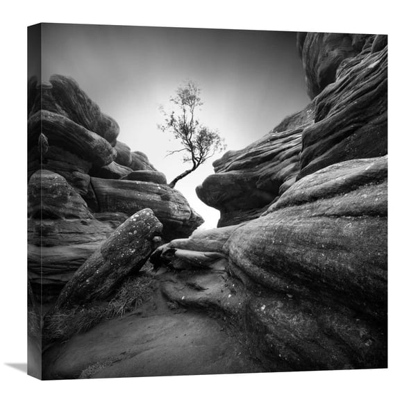 Global Gallery Sainty,'Struggle' Stretched Canvas Artwork