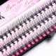 thumbnail image 1 of 60 racimos/caja de pestañas de racimo, extensión de pestañas individuales racimos de pestañas maquillaje profesional pestañas postizas Tan Jianjun unisex, 1 of 2