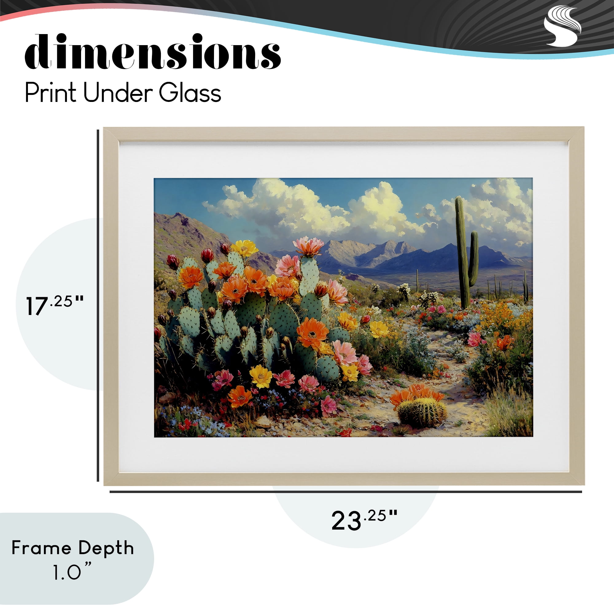 Stupell Industries Vibrant Cacti in Desert Birch Framed Print Under Glass, design by Franklyn Gregory