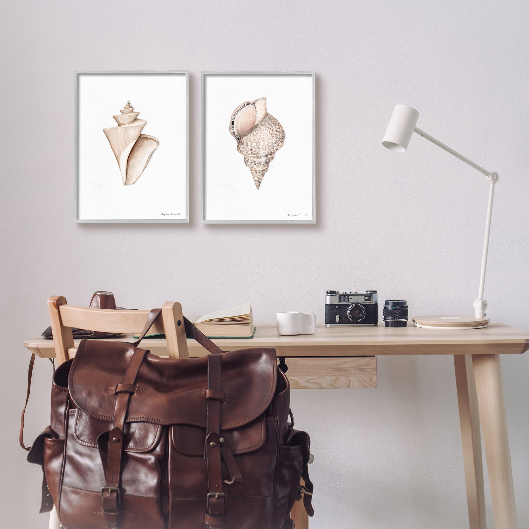 Stupell Industries Tranquil Spiral Sea Shells Soft Marine Life Illustration, 11 x 14, Design by Stephanie Workman Marrott