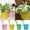 4 PCS, variant on 10 Pcs Iron Hanging Flower Pots, Topboutique 3.9" Multicolor Balcony Garden Railing Planter Pots, Durable Fence Patio Planter with Detachable Hook and Drainage Hole for Indoor Outdoor,Random Color