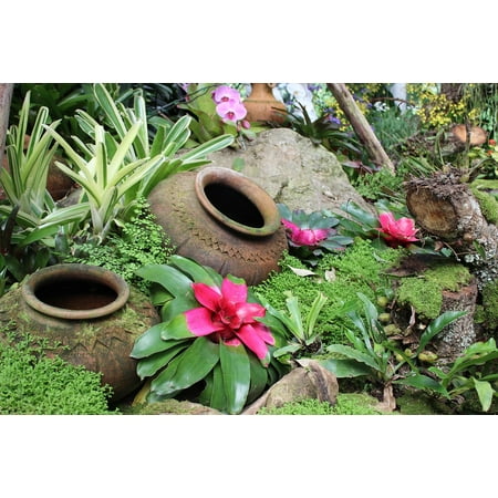 - LAMINATED POSTER Royal Palace Plant After The Garden Chiang Mai Jug Poster 24x16 Adhesive Decal