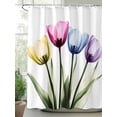 thumbnail image 2 of Colorful Tulip Floral Shower Curtain, Watercolor Flowers Bathroom Decor Curtains Set with Hooks, Waterproof Fabric Home Accessories， 72 X 72 Inch Long, 2 of 6