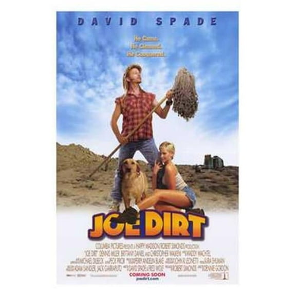 The Adventures of Joe Dirt Movie Poster (11 x 17)