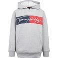 thumbnail image 1 of Sudadera con capucha Tommy Hilfiger para niños, manga larga, forro polar, color gris, talla 5, 1 of 1