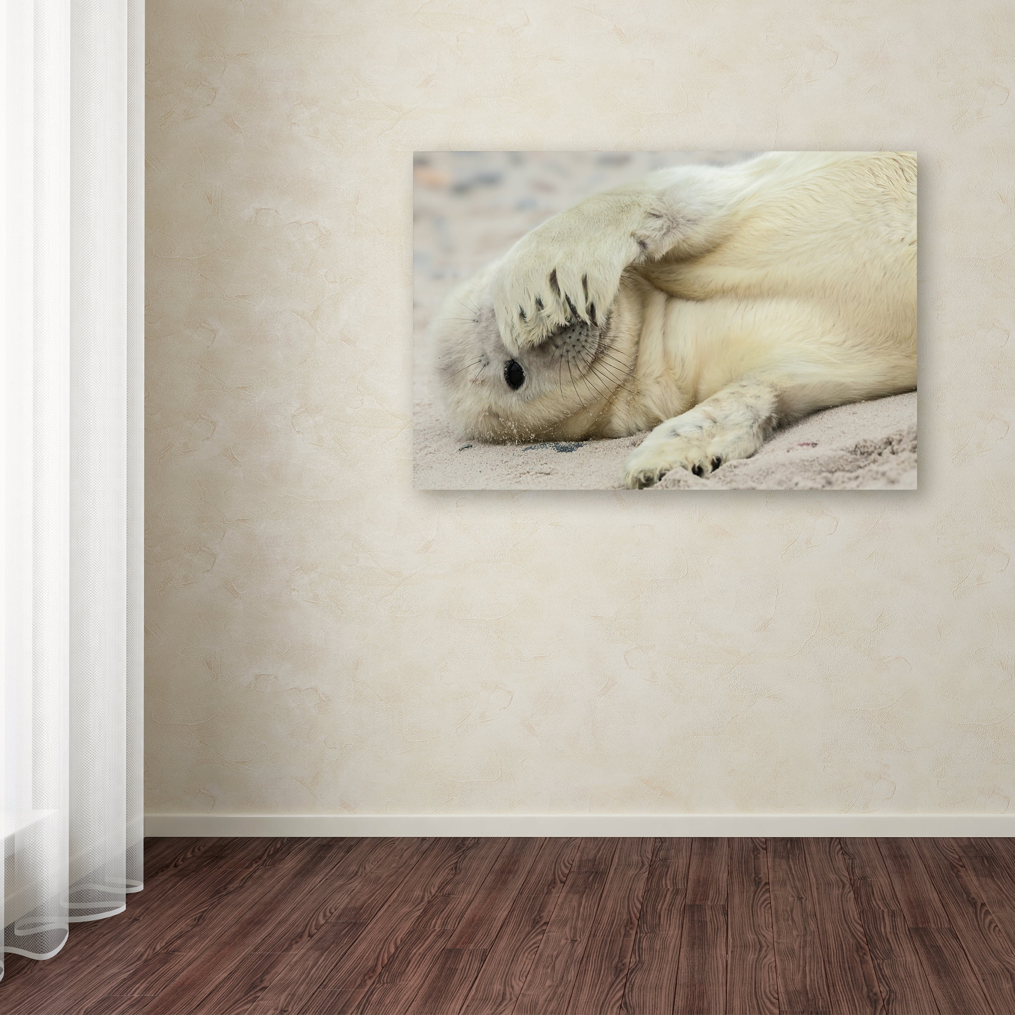 Trademark Fine Art 'Peekaboo' Canvas Art by Hillebrand Breuker