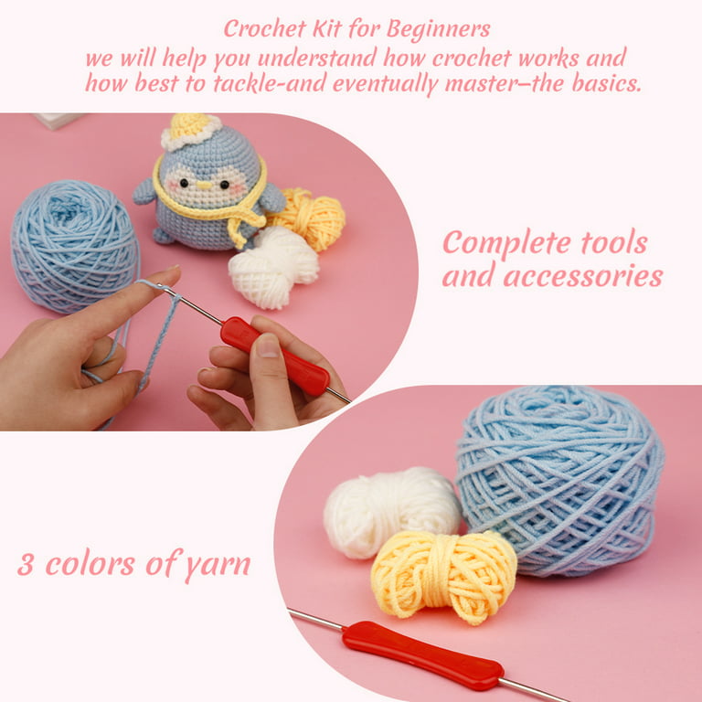 Beginners Crochet Kit, Cute Small Animals Kit for Beginers and Experts, All  in One Crochet Knitting Kit, Step-by-Step Instructions Video, Crochet