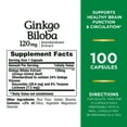 Nature’s Bounty Ginkgo Biloba, Memory Support Supplement, 120 mg, 100
