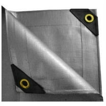 "UST Inc. 10 x 30 Heavy Duty Canopy Tarp - Silver 12 mil"