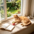 thumbnail image 4 of Interactive Cat Toy Ball, Automatic Smart Rolling Cat Ball, USB Rechargeable Motion Activated Cat Toy for Indoor Cats, boredom relief Pink, 4 of 6