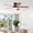 46‘’Brown, variant on PHORUS 46" Modern Flush Mount Ceiling Fan with Light,Low-Profile Design, 5 Reversible Blades, Quiet Motor with 6 Speeds, 3-Tone LED Lighting, Indoor & Covered Outdoor,White