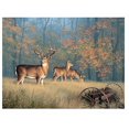 thumbnail image 4 of Reflective Art Autumn Glory Puzzle, 4 of 4