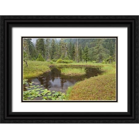 Paulson, Don 32x23 Black Ornate Wood Framed with Double Matting Museum Art Print Titled - Alaska, Admiralty Island Pond and forest