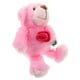 thumbnail image 3 of Lindo oso de peluche para San Valentín, peluche navideño con rosa, divertido peluche para novia, regalo de Navidad para San Valentín, 3 of 7