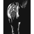 thumbnail image 3 of Chapman, Julie 15x18 Black Modern Framed Museum Art Print Titled - Pattern Meditation, 3 of 5