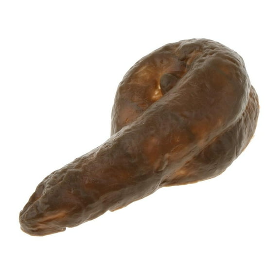 Simulación de caca de perro, caca, broma, broma, suciedad, regalo divertido, accesorios para fiesta de caca Plástico 6