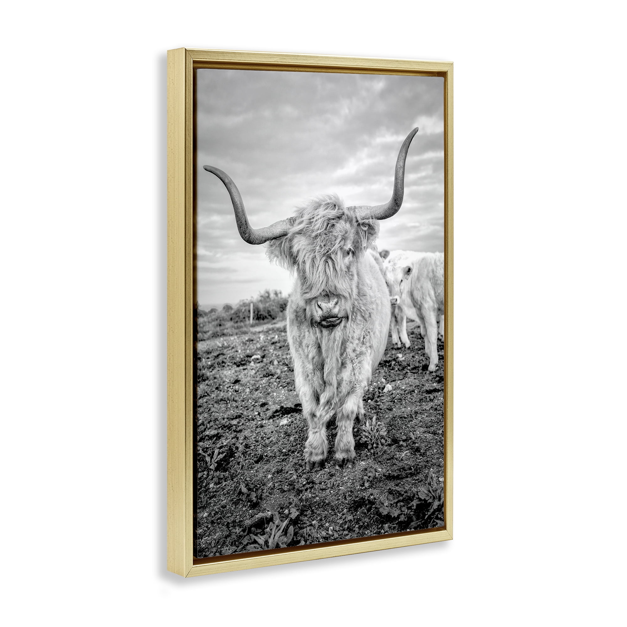 Stupell Industries Longhorn Calf Family Animals & Insects Photography Gold Floater Framed Canvas Art Print Wall Art, 21 x 31