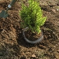 thumbnail image 4 of Purchased In A Pack Of 4 Pack Of 1 24X24In 304 Stainless Steel Mesh Bag For Plant Root Protection Knitted Stainless Steel Mesh Gopher And Vole Protection Mesh Bag, 4 of 7