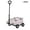 Grey, variant on Portable Pet Trolley Foldable Dog Trolley Camping Mall Dual-purpose Cat and Dog Pet Trolley