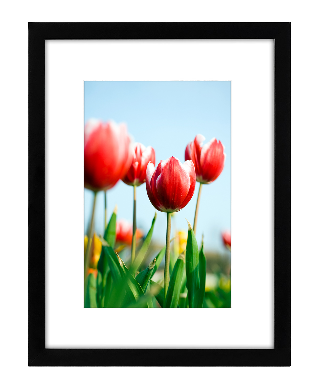 12 x 16 Black Picture Frame - Displays Photos 8 x 12 with Mat