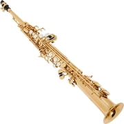 Allora AAS-450 Vienna Series Alto Saxophone Lacquer Lacquer Keys