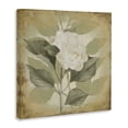 thumbnail image 3 of Stupell Industries Shabby Chic Canvas Art, 17 x 17, by Lanie Loreth, 3 of 8