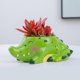 thumbnail image 4 of Unique Alligator Shaped Silicone Planter Mold for Hand-Making Concrete and Resin Craft Home and Garden Decorations, 4 of 4