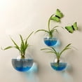 thumbnail image 1 of Hanging Glass Flower Planter Vase Terrarium Container Home Garden Ball Decor, 1 of 5