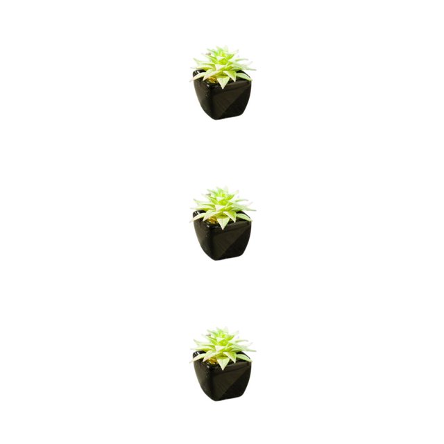 Plantas en macetas de cerámica suculentas artificiales Injueey decoración jardín oficina tipo 1 NO1