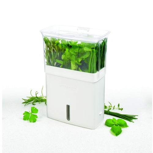 Cole & Mason Fresh Herb Keeper Plastic Pot Planter