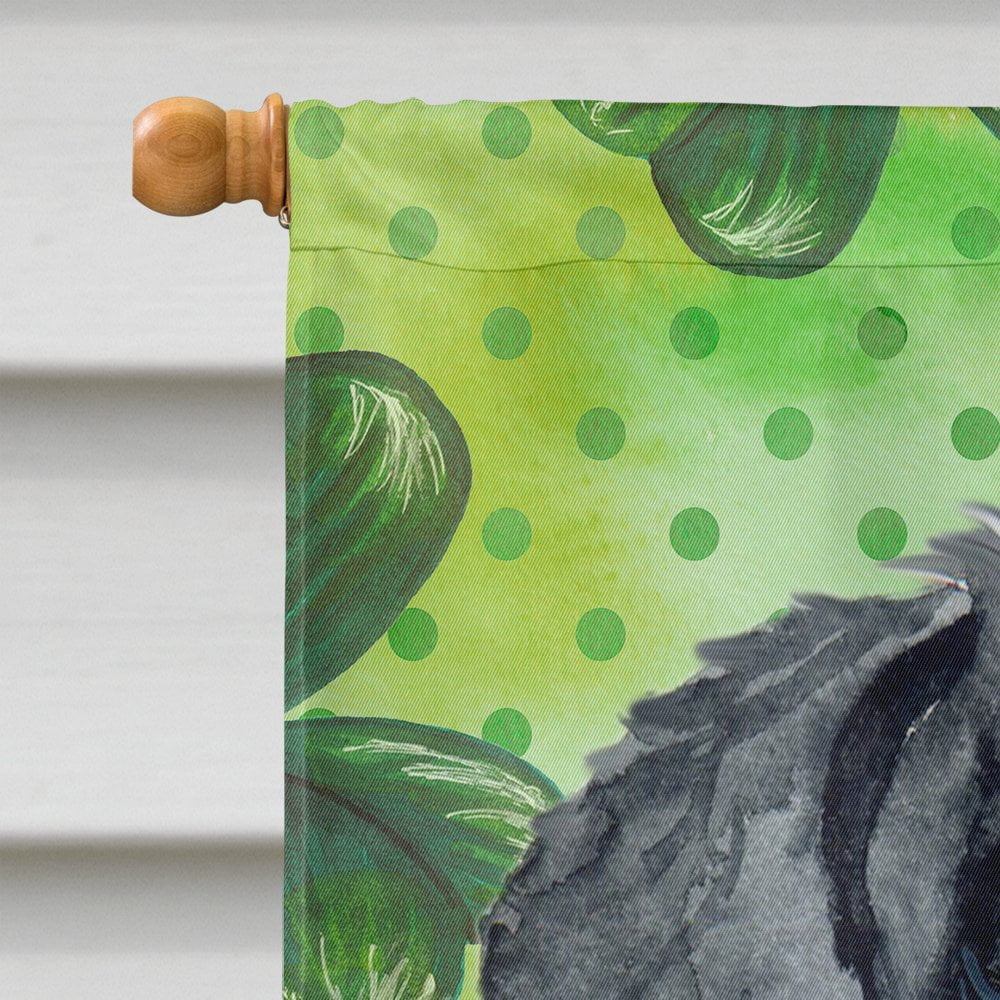 Carolines Treasures BB9834CHF Giant Schnauzer St Patricks Flag Canvas House Size  Large multicolor