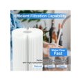 thumbnail image 3 of 10" X 4.5" Whole House Pleated Sediment Water Filter Replacement For GE FXHSC, Culligan R50-BBSA, Pentek R50-BB, WFHDC3001, W50PEHD, GXWH40L, GXWH35F,, 3 of 5