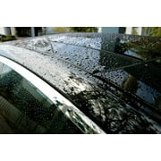 APEC Spot Free Water Deionization Car Wash System CWS-300