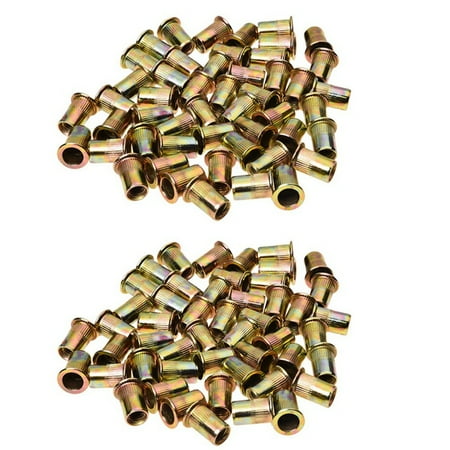 

100 PCS Flat Head Nut Furniture Decoration Instrument (M8)