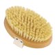 thumbnail image 4 of Cepillo Exfoliante Corporal, Cepillo Corporal De Drenaje Linfático Exfoliante Desintoxicante Para Apretar La Piel Madera De Haya Para El Cuidado De La Piel, 4 of 7