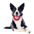 thumbnail image 2 of - Anillo para masticar, juguetes para perros, juguetes indestructibles de caucho natural para perros (rojo), 2 of 5