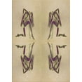 thumbnail image 1 of Ahgly Company Tapis d'Intérieur Lavables à la Machine pour Rectangles, 4' x 6', 1 of 7
