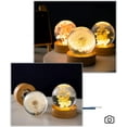 thumbnail image 2 of TRIPRO 2.4 inch Dandelion Crystal Glass Ball Night Light Decor Lamp with Woodern Base,Decorations Gifts for Men,Women,Kids,Boys,Girls,Teens, 2 of 5