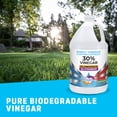 thumbnail image 3 of Vinagre limpiador Simply Vinegar con una concentración del 30%, 3,78 litros, 3 of 6