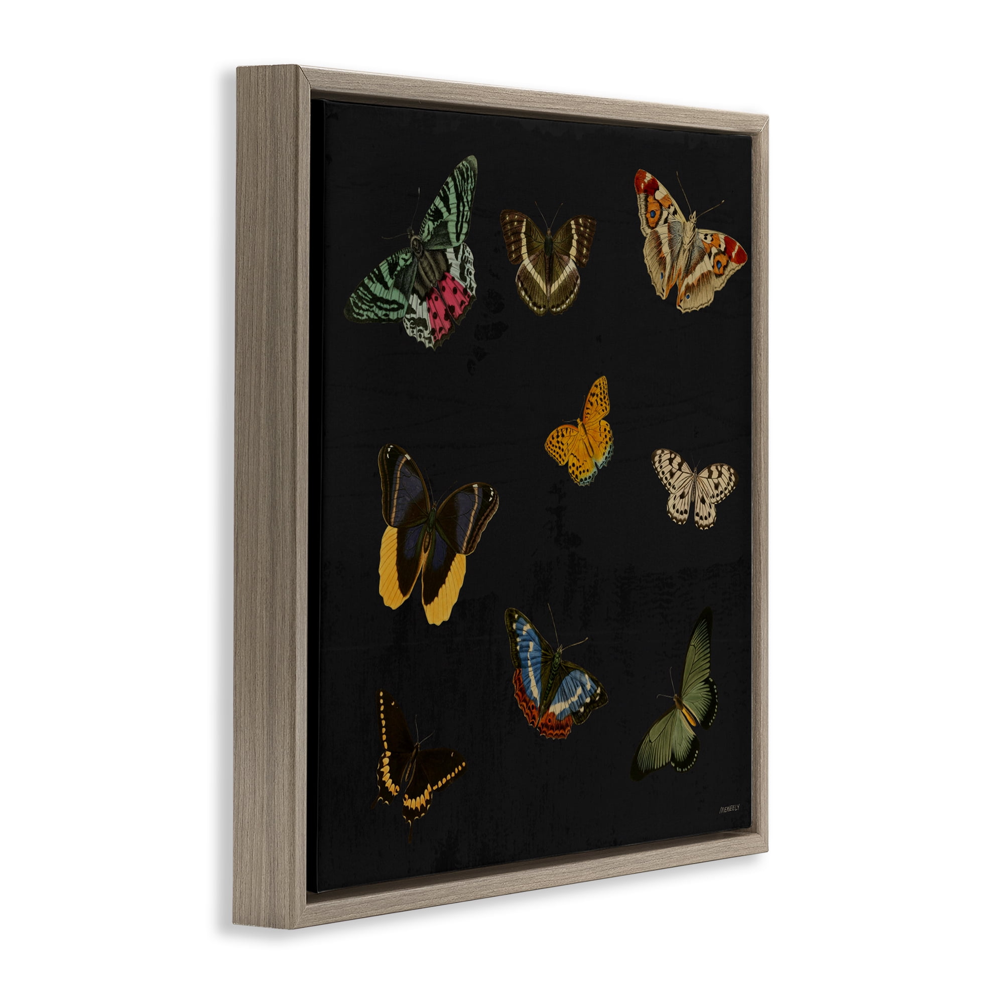 Stupell Industries Butterfly & Moth Collection Brown Framed Floater Canvas Wall Art, design by Dan Meneely