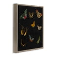 thumbnail image 2 of Stupell Industries Cottage Butterfly & Moth Collection Brown Floating Frame Canvas Art, 25 x 25, by Dan Meneely, 2 of 8